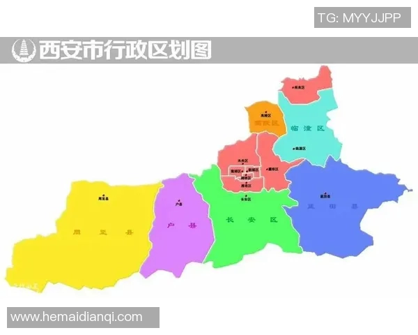 独家解析西安排球队速度对比及其战术影响分析