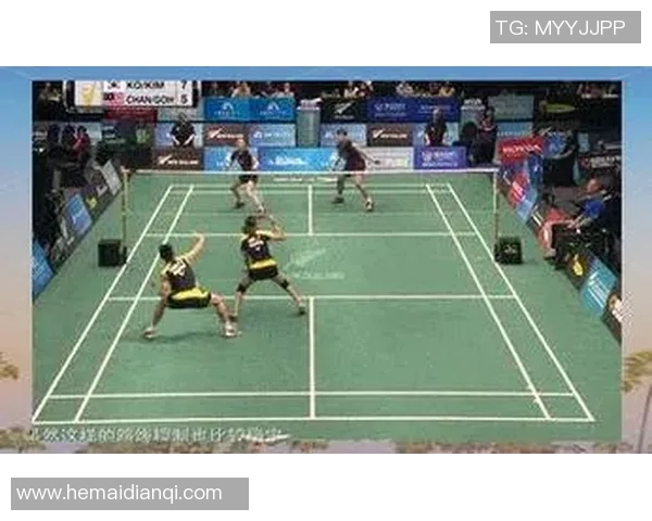 羽毛球的魅力与挑战：探寻杭州羽毛球队的转型之路